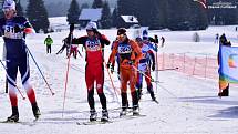 Šumava o víkendu žila dalším ročníkem Šumavského skimaratonu.