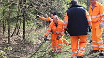 Pracovníci Správy a údržby silnic Prachatice uklízejí na silnici z Prachatic na Vitějovice popadané větve po páteční sněhové kalamitě.