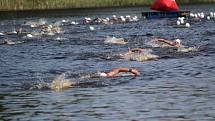 Xterra Czech Sprint 2019 v Prachaticích.