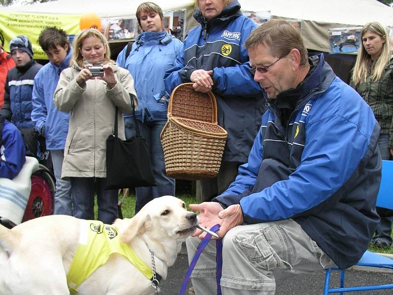 Oslavy otevírání MiniZooKoutku u Šumavouse ve Vimperku