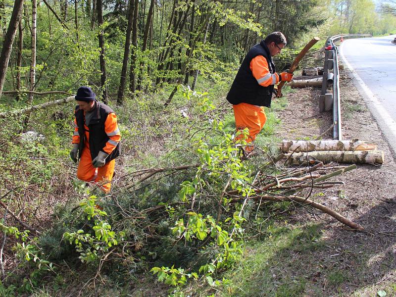 Pracovníci Správy a údržby silnic Prachatice uklízejí na silnici z Prachatic na Vitějovice popadané větve po páteční sněhové kalamitě.