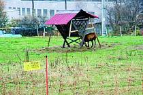 OHRADA. V lokalitě Pod Lázněmi v Prachaticích se nachází ohrada s kozami s elektrickým ohradníkem. Případnému zranění zabraňuje viditelné označení na ohradníku.