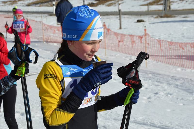 První díl 32. ročníku Šumavského Skimaratonu absolvovali lyžaři klasici mezi Modravou a Kvildou. Běželo se volnou technikou, zítra je na programu klasika.Foto: Zdeněk Formánek