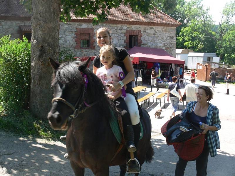 Jezdeckému dni na Kratochvíli přálo i počasí. 