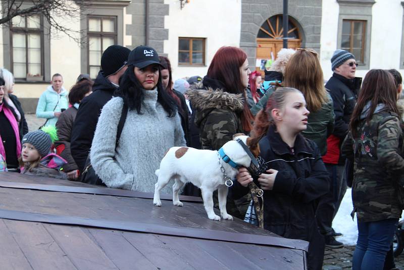 Hromadné venčení psů na prachatickém Velkém náměstí.