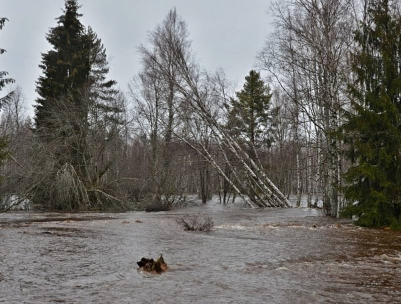 Rozvodněná Vltava u Soumarského Mostu a Černého Křiže.