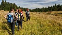 Do Národního parku Šumava letos přijelo lidí méně, ale program Průvodce divočinou trhal rekordy.