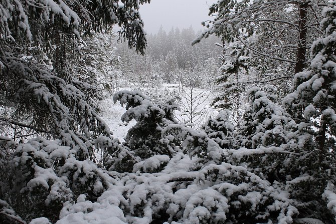 Dvanáct centimetrů sněhu leží v okolí meteo stanice na Churáňově.