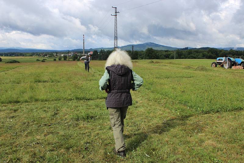 Volarský sekáč se stal již tradicí. Déšť soutěžení trochu komplikoval.