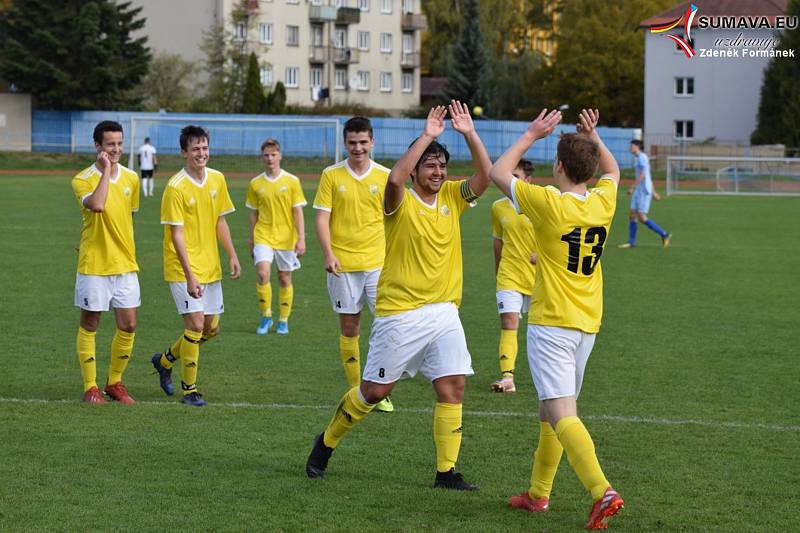 KP staršího dorostu: Šumavan Vimperk - Protivín 12:2.