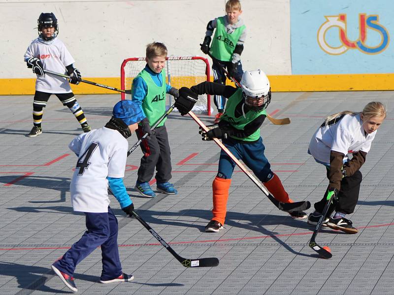 Okresní kolo seriálu Hokejbal proti drogám završili v pátek dopoledne nejmladší hráči z 1. - 3. tříd ZŠ.