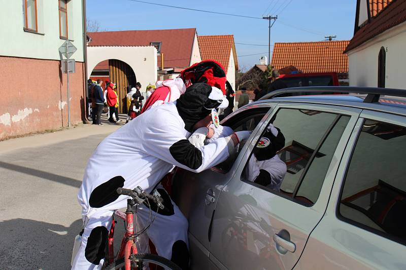 Pozadu s Masopustem nezůstali ani Lažišťští. V sobotu vyrazilo do ulic obce na padesát masek.