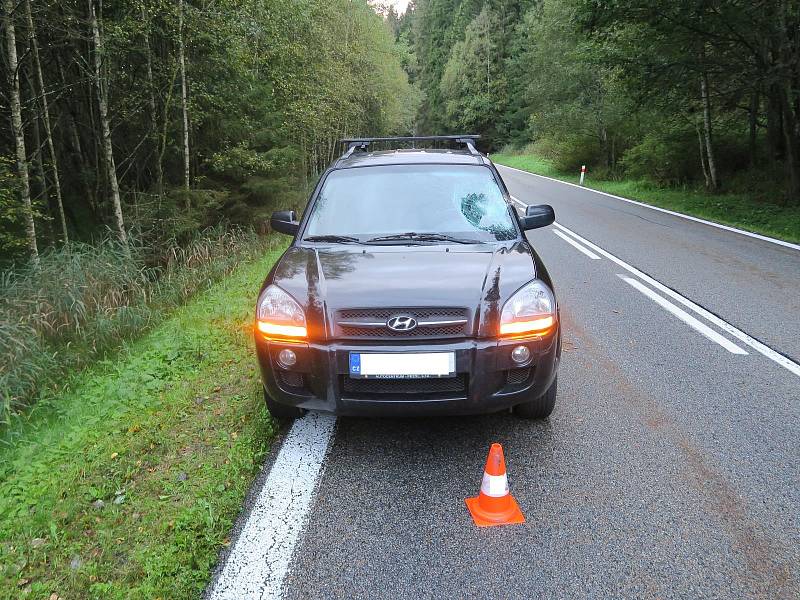 Strom spadl na auto mezi šumavskou Horní Vltavicí a Kubovou Hutí na hlavní silnici I/4.