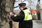 Městská policie Prachatice provádí opatření, aby lidé nemohli vstupovat do Štěpánčina parku.