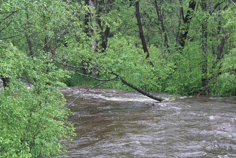 Řeka Blanice u Blanického mlýna je od středečního rána na prvním stupni povodňové aktivity.