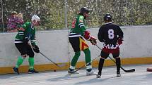 II. liga hokejbalistů: Flames Volary - Nová Včelnice 5:4.