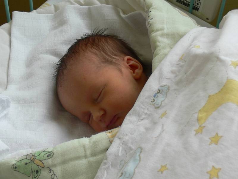 Elen Trůblová se v prachatické porodnici narodila v pondělí 24. září ve 13.13 hodin rodičům Markétě a Miroslavovi. Holčička vážila 3000 gramů a měřila 46 centimetrů. Doma v Žernovicích na sestřičku čekala šestiletá Berenika.