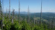 Národní park Šumava, srovnání snímků, rok 2013.