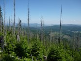 Národní park Šumava. Ilustrační foto. 