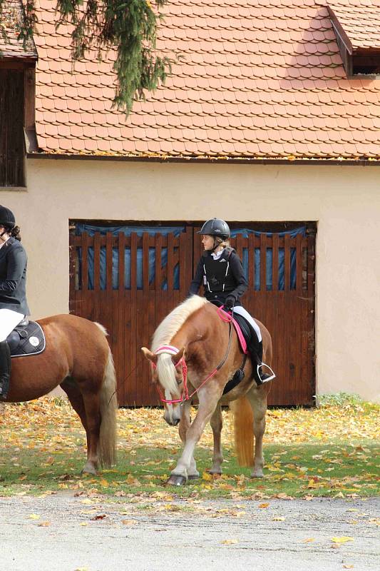 Hubertova jízda 2019 na zámku Skalice v Bohumilicích. Foto: Deník/Nikola Beranová