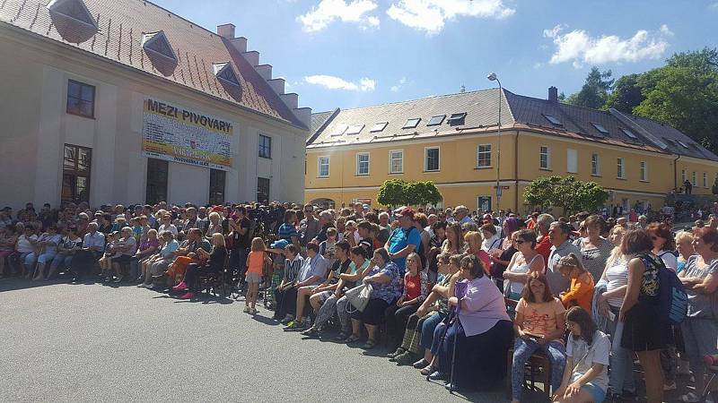 Lidé již netrpělivě čekají na příchod prezidenta Miloše Zemana na parkovišti před hotelem Zlatá hvězda v ulici 1. máje ve Vimperku.