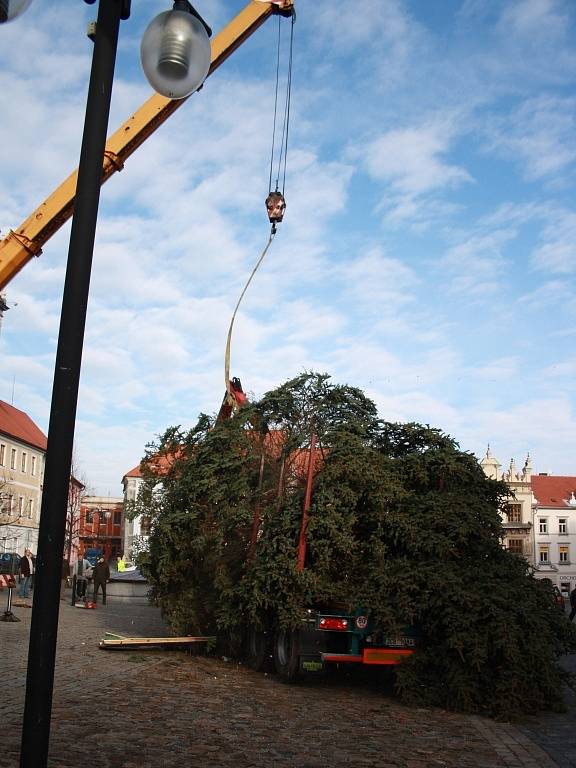 Kmen se zlomil pod úvazem, který už jen bezvládně visí nad ním.