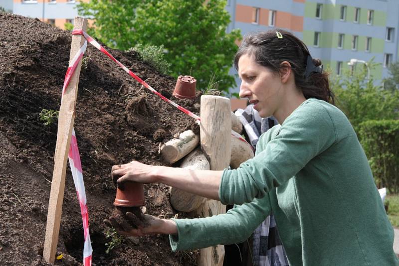 V areálu Základní školy v Národní ulici v Prachaticích vznikne nová zahrada.