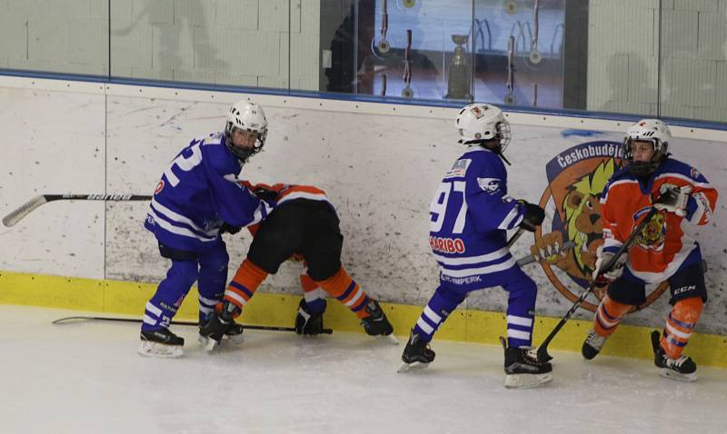 Mladší žáci HC Vimperk zvítězili na ledě Lvů ČB 7:1.