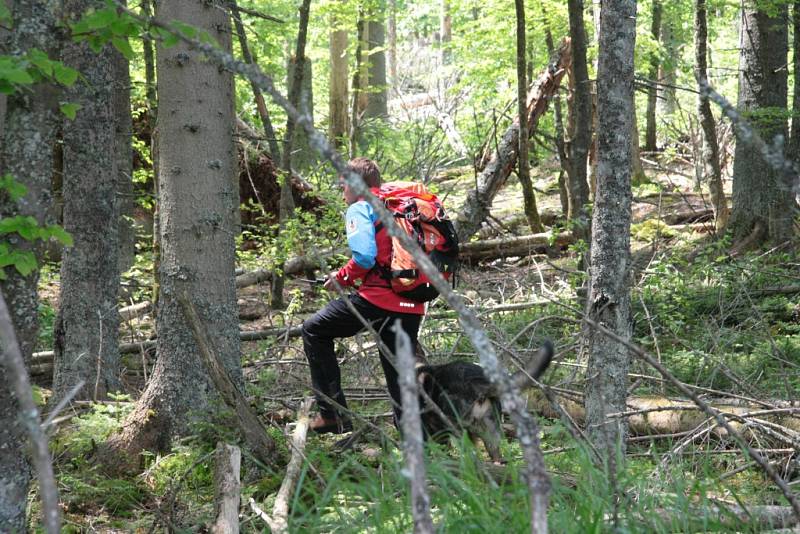 Oblast Národního parku Šumava od Nového Údolí přes Vltavskou cestu k Nové Peci až po Plešné jezero se ve čtbrtek stala místem pátrání po dvanácti ztracených účastnících nelegálního závodu. Naštěstí se jednalo o součinnostní cvičení záchranných složek.