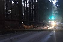Jednotka SDH Stachy vyjela na Zadov odstranit padlý strom přes cestu.