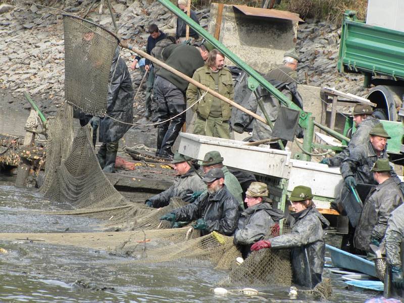 Protivínští rybáři v neděli lovili Podroužek u Netolic. 
