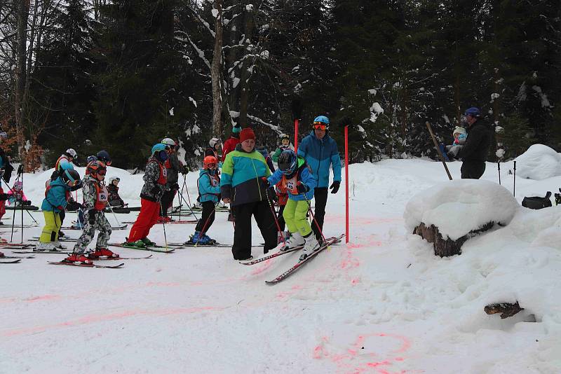 Třetí závod Bázumského poháru 2019 v Českých Žlebech.