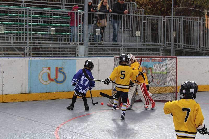 Prachatická Highlanders aréna hostila turnaj mladších a starších přípravek z jihu Čech.