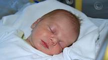 Matyáš BARCAL, Vodňany. Narodil se 27. listopadu ve 14.05 hodin  v prachatické porodnici, vážil 3 320 gramů. Rodiče: Linda Preislerová a Milan Barcal.