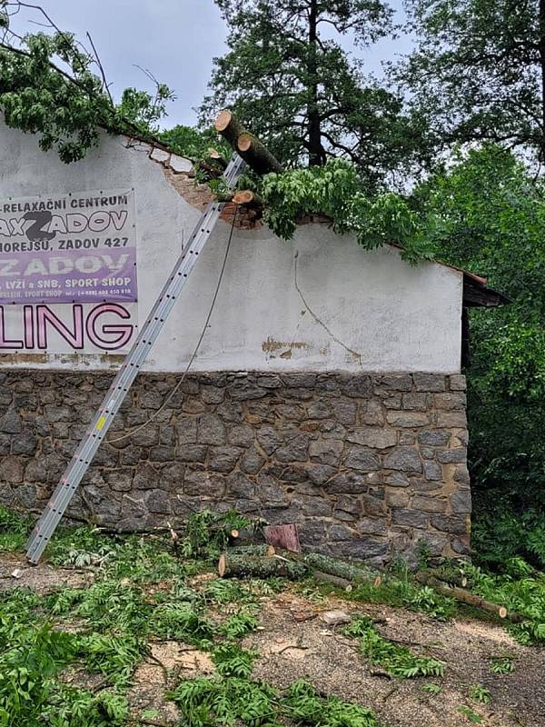 Noční průtrž mračen podemlela kořeny stromů, které spadly na sousední objekt.