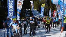 První díl 32. ročníku Šumavského Skimaratonu absolvovali lyžaři klasici mezi Modravou a Kvildou. Běželo se volnou technikou, zítra je na programu klasika.Foto: Zdeněk Formánek