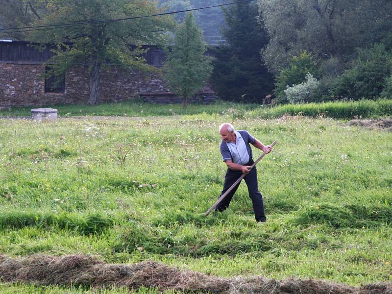 Na lukách u Mlynářovic na Volarsku se konal první Šumavský pohár v kosení, kde svedli tuhé boje s kosou opravdoví mistři této práce.