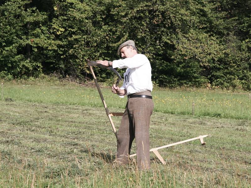 Na lukách u Mlynářovic na Volarsku se konal první Šumavský pohár v kosení, kde svedli tuhé boje s kosou opravdoví mistři této práce.