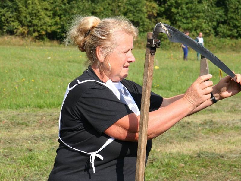 Na lukách u Mlynářovic na Volarsku se konal první Šumavský pohár v kosení, kde svedli tuhé boje s kosou opravdoví mistři této práce.