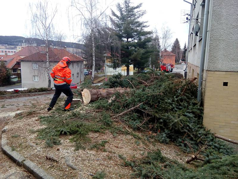 Ve středu dopoledne pokáceli prachatičtí profesionální hasiči rozdvojený smrk mezi bytovkami v ulici Na Sadech. Strom rostl v těsné blízkosti jedné z bytovek.