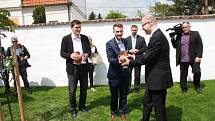 V zahradě Centra bude růst také Husova lípa, o jejíž zalití se postaral premiér Bohuslav Sobotka.