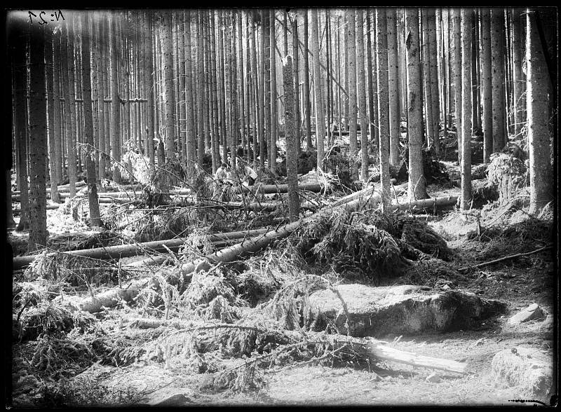 Fotografie Josefa Seidela vytvořená okolo roku 1900 na neznámém místě na Šumavě.