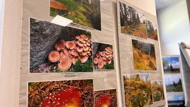 Šumavskou krajinu ve všech ročních obdobích ukazují fotografie Václava Vondráška v SeniorPointu Prachatice.