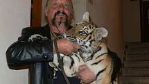 Jaromír Joo navštívil prachatické muzeum loutek a cirkusu s tygřicí Tajgou.