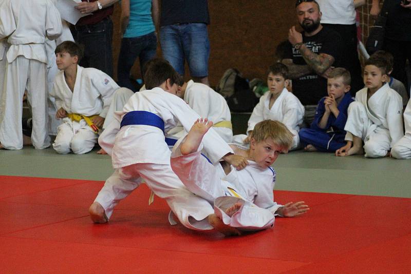 Mladí judisté se představili na VC Prachatice v rámci mezinárodního projektu Judo & Art.