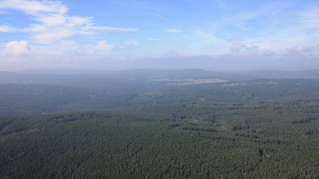 Lesní porosty, letecký snímek. Ilustrační foto