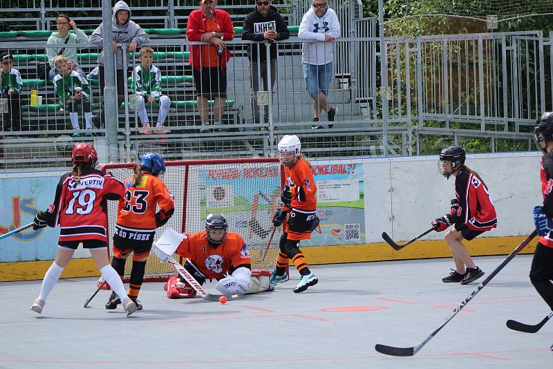 Hokejbalový turnaj přípravek v Prachaticích.