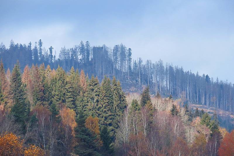 Kunžvart.