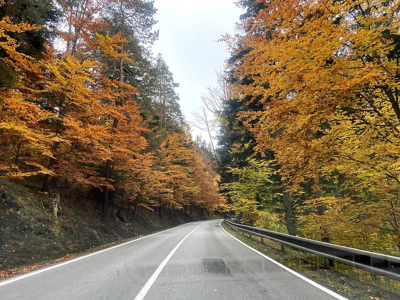 Oprava silnice od Stögrovy Huti do Lenory.