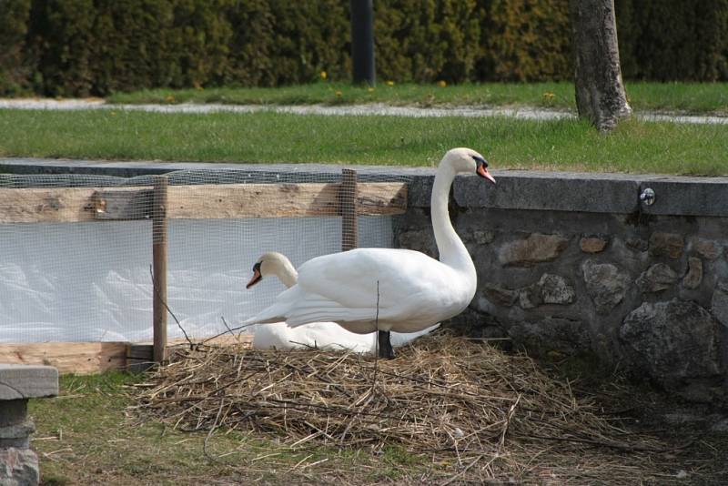 Zámek Kratochvíle přivítal o Velikonočním pondělí nejen zájemce o prohlídky, ale i soutěživé typy.